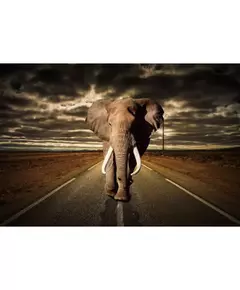 Glasschilderij olifant op weg 834