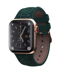 Njord Jord Watchband voor Apple Watch 40 mm Wearable bandje Groen