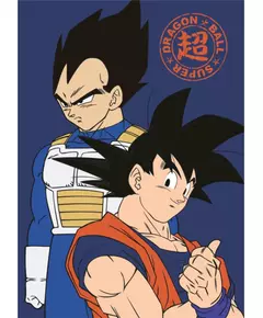Super Son Goku Y Vegeta Fleecedeken 100 x 140 cm Blauw